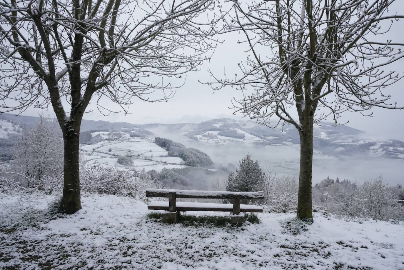 La Agencia Vasca de Meteorología, Euskalmet, prevé para este martes en Euskadi un ascenso de las temperaturas a partir de la tarde. La cota de nieve ascenderá conforme pasan las horas.