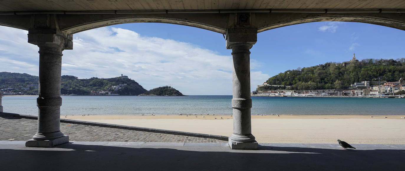 La playa de La Concha ocupada solamente por gaviotas.
