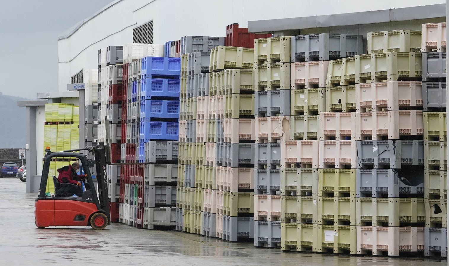 En lonja se ha abonado a 2,65 euros el kilo