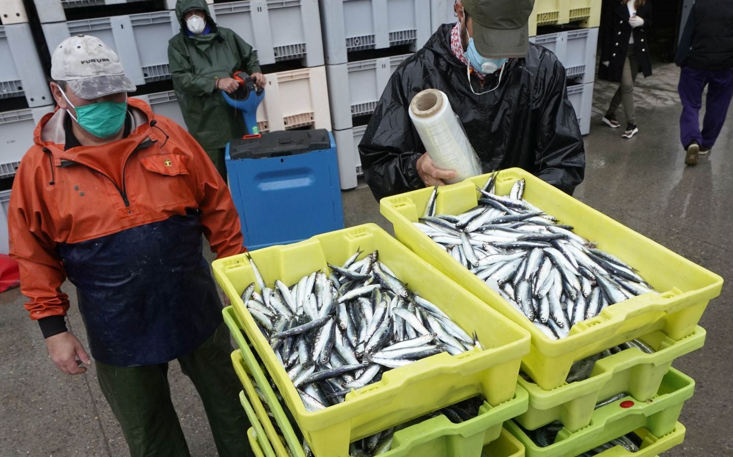 En lonja se ha abonado a 2,65 euros el kilo