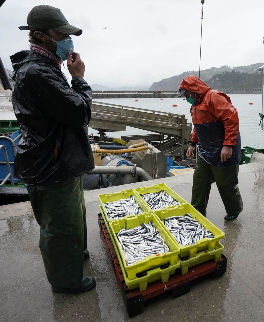 En lonja se ha abonado a 2,65 euros el kilo