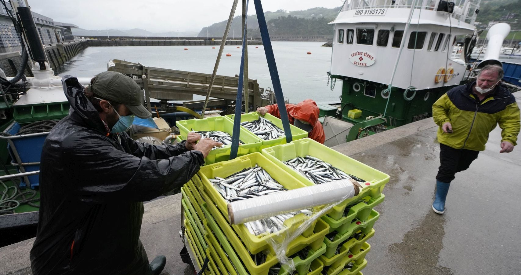 En lonja se ha abonado a 2,65 euros el kilo