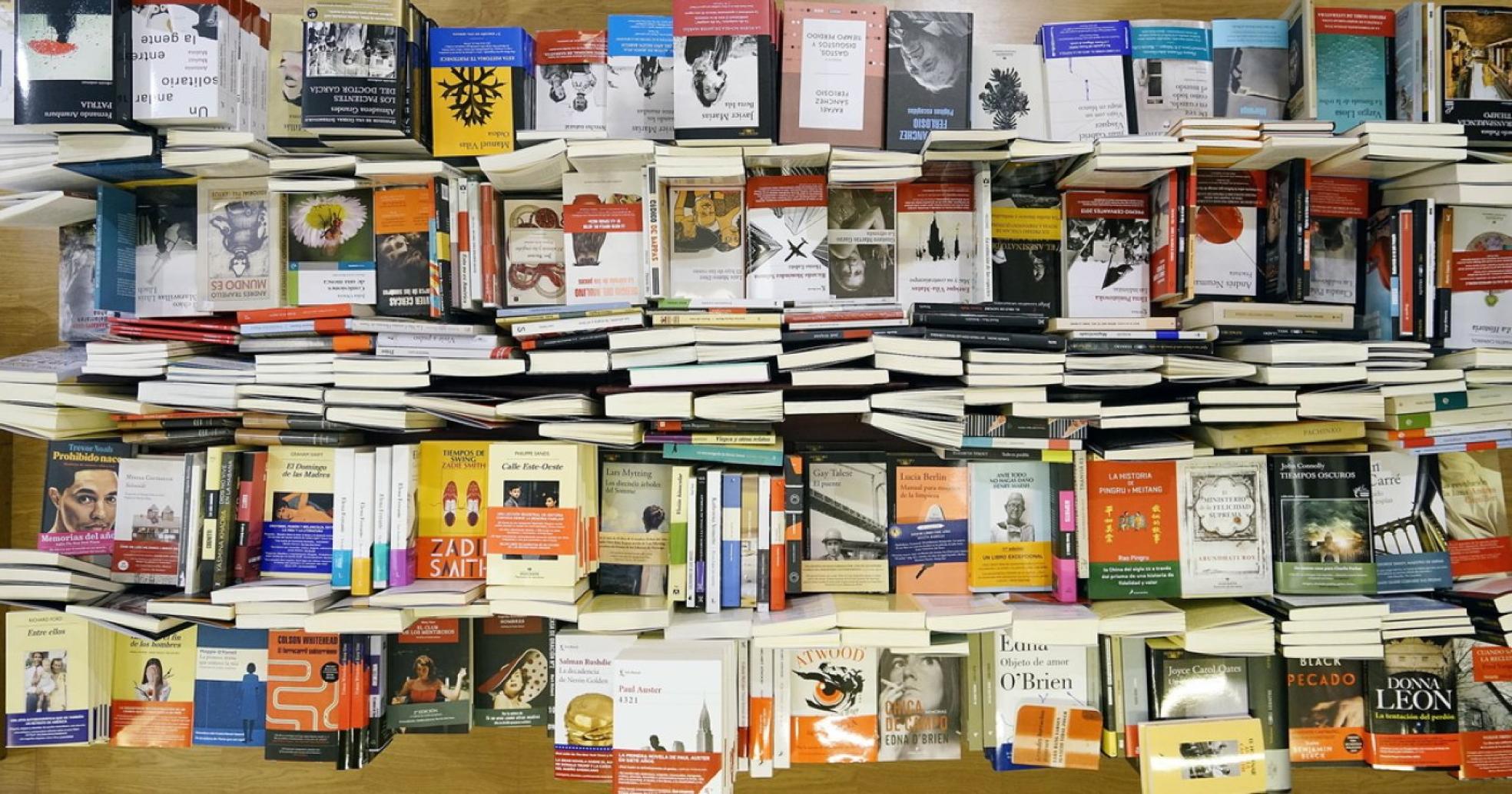 Vista cenital de uno de los expositores de la librería donostiarra Lagun. 