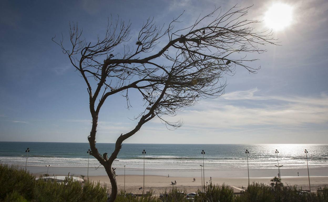 Una playa de Conil de la Frontera, en Cádiz. 