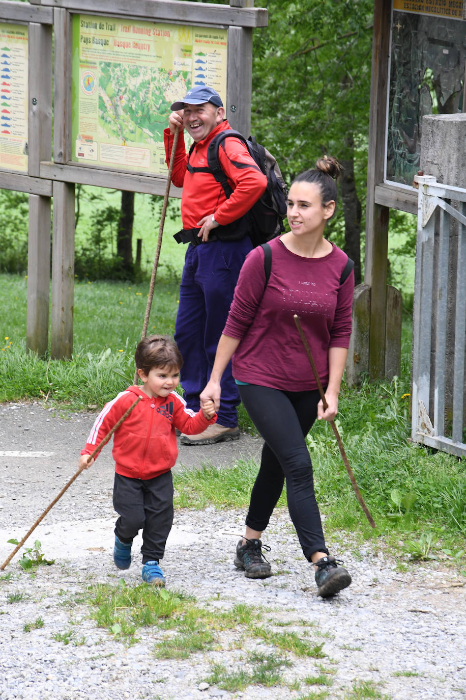 Fotos: Abaltzisketan ere zabaldu dituzte larreak