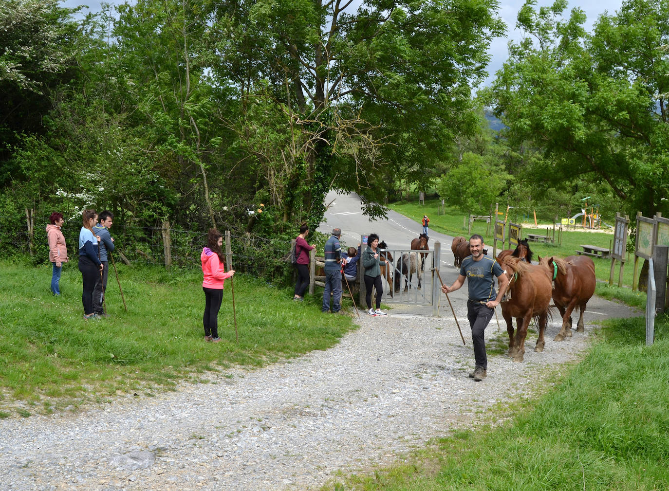 Fotos: Abaltzisketan ere zabaldu dituzte larreak
