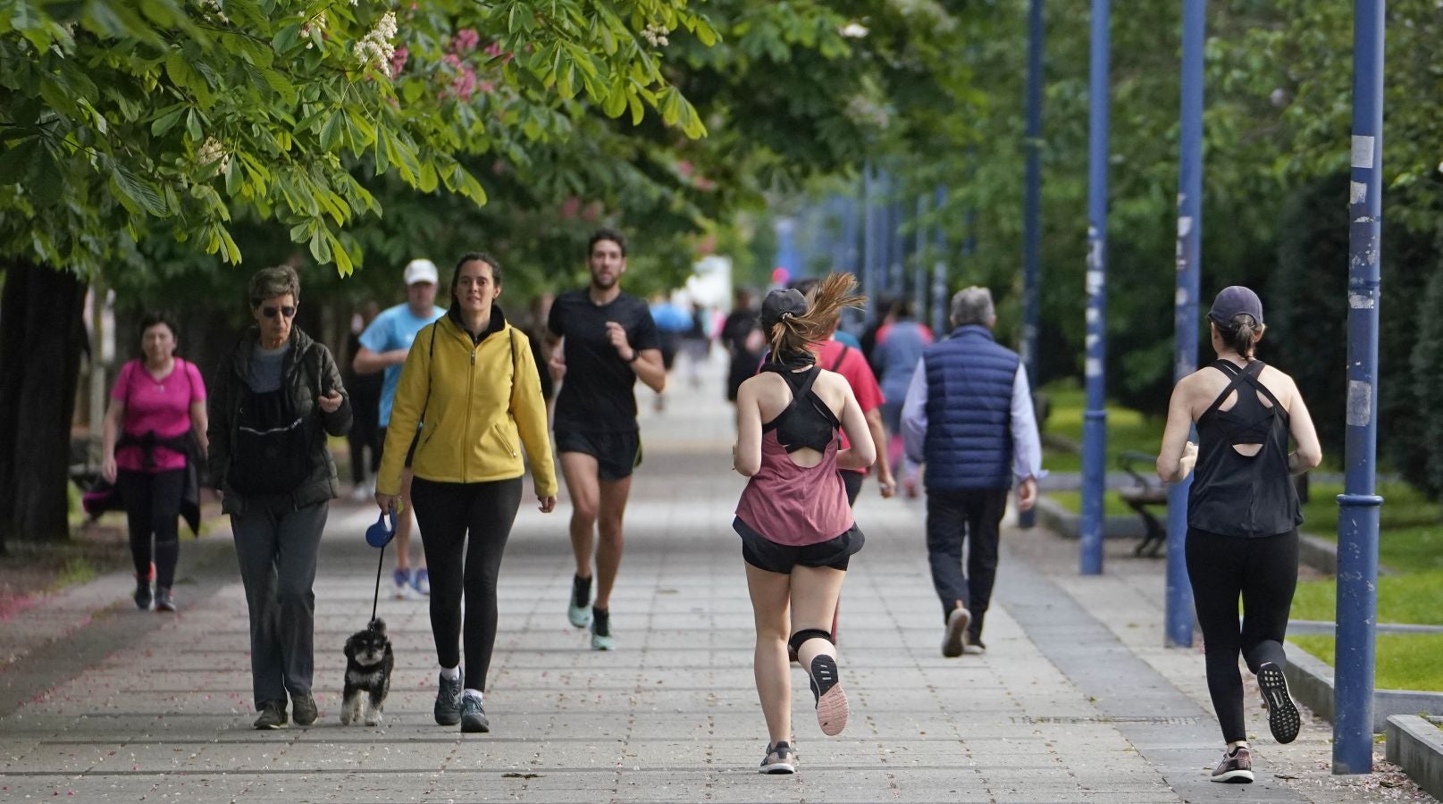 Fotos: Playa, deporte y paseos en San Sebastián