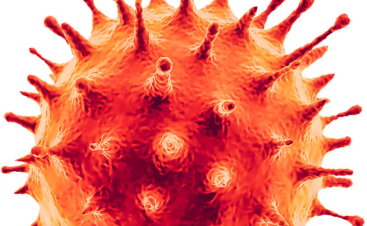 Eta Gonbid-20 datorrenean? Covid-19aren aukera