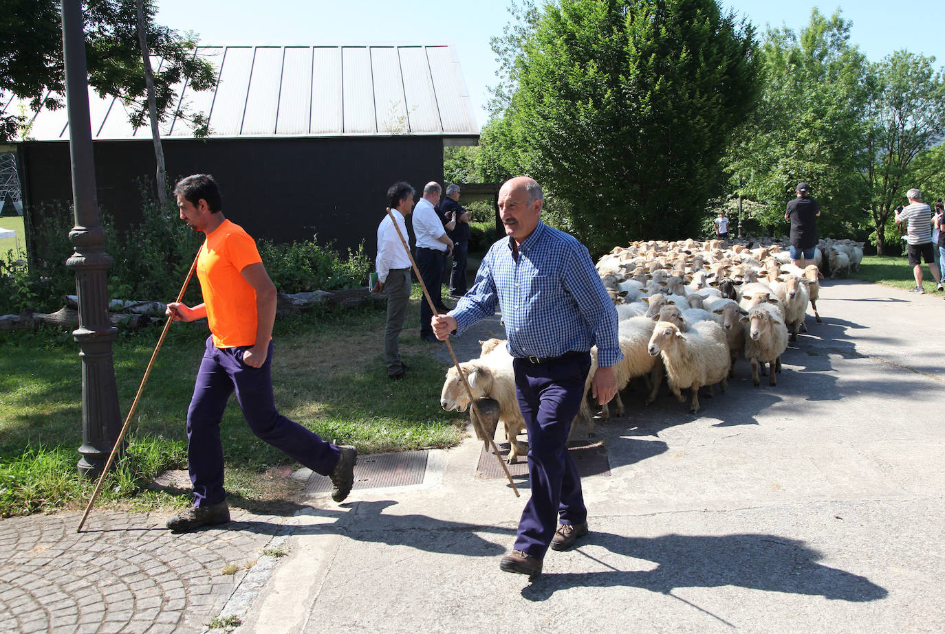 Ordizia ha recuperado este miércoles una nueva edición del Artzain eguna, aunque lo ha hecho con un único acto: la presentación del nuevo queso Idiazabal y el corte del mismo, que cada año realiza un popular personaje. Unai Campo, cocinero del restaurante Porrue de Bilbao y vinculado a la feria de Ordizia, ha sido la figura clave en una edición en la que que representantes del Gobierno Vasco y de la Diputación Foral de Gipuzkoa han seguido de forma telemática. No se ha podido celebrar, sin embargo, el tradicional paso de ovejas por el centro del pueblo