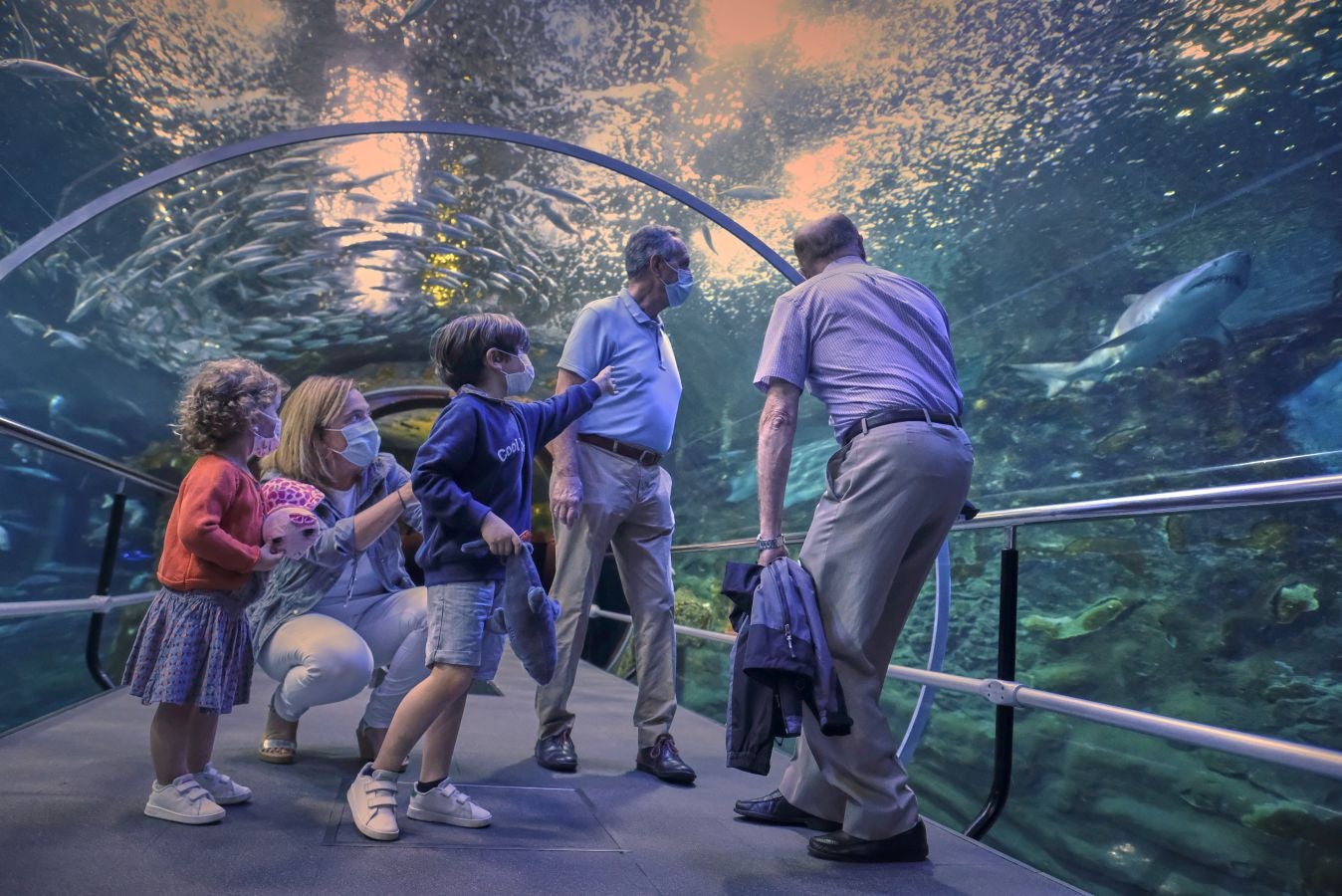 El Aquarium de Donostia ha recibido sus primeras visitas tras el cierre obligado por culpa de la crisis santiaria provocada por el Covid-19. Los hermanos Jon y Malen Lasurtegui junto con el aitona Jesús Ángel han sido los primeros afortunados en recorrer el túnel y ver a los tiburones.