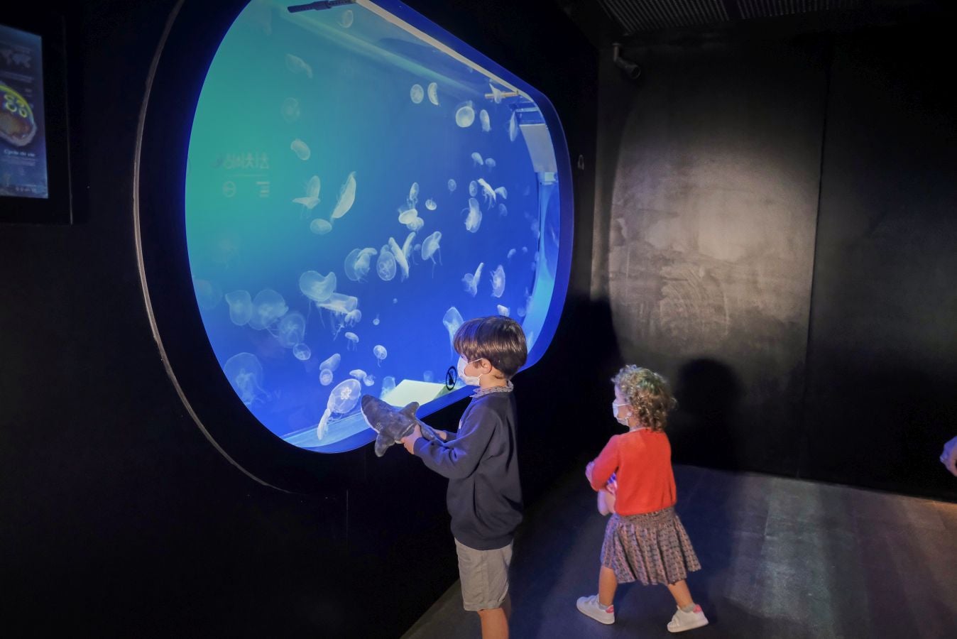 El Aquarium de Donostia ha recibido sus primeras visitas tras el cierre obligado por culpa de la crisis santiaria provocada por el Covid-19. Los hermanos Jon y Malen Lasurtegui junto con el aitona Jesús Ángel han sido los primeros afortunados en recorrer el túnel y ver a los tiburones.