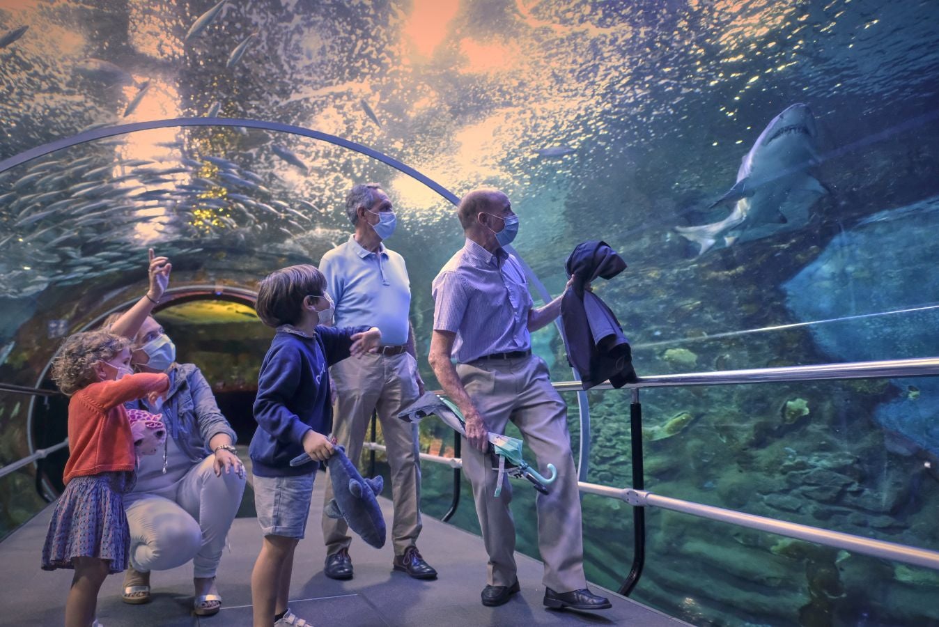 El Aquarium de Donostia ha recibido sus primeras visitas tras el cierre obligado por culpa de la crisis santiaria provocada por el Covid-19. Los hermanos Jon y Malen Lasurtegui junto con el aitona Jesús Ángel han sido los primeros afortunados en recorrer el túnel y ver a los tiburones.