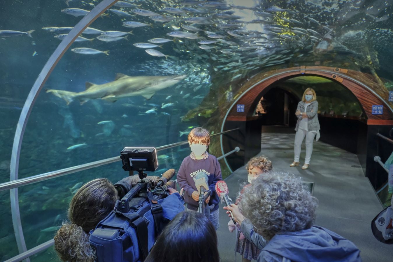 El Aquarium de Donostia ha recibido sus primeras visitas tras el cierre obligado por culpa de la crisis santiaria provocada por el Covid-19. Los hermanos Jon y Malen Lasurtegui junto con el aitona Jesús Ángel han sido los primeros afortunados en recorrer el túnel y ver a los tiburones.