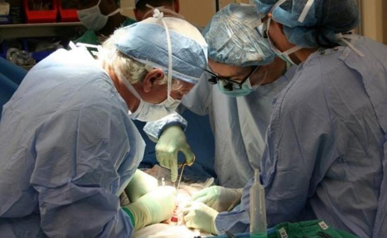 La donación y trasplante de órganos vuelve a niveles prepandemia del coronavirus en Euskadi