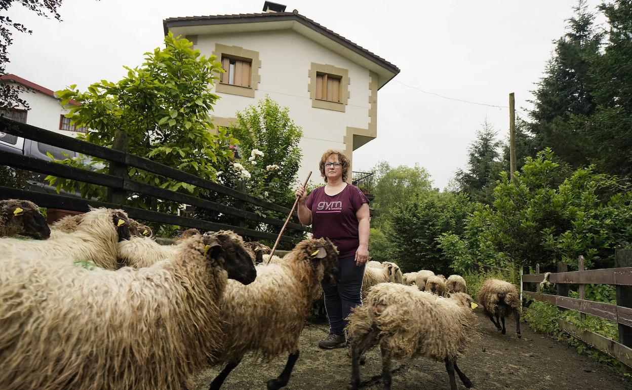 Elixabete Arrillaga con su rebaño en los alrededores del caserío Aizpea de Olaberria. 