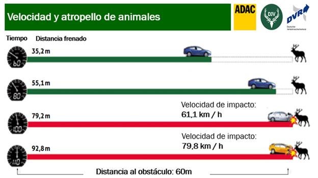 En este cuadro apreciamos las distancia de frenado necesaria en función de la velocidad, para no llegar a impactar con un animal.