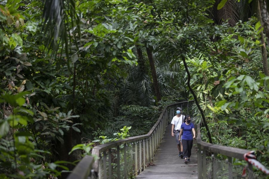 Singapur, la ciudad verde. 