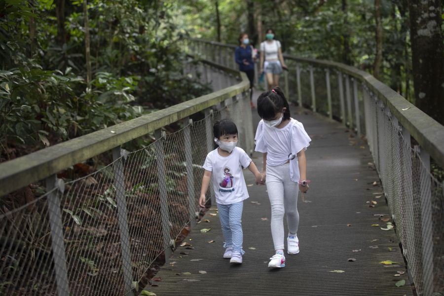 Singapur, la ciudad verde. 