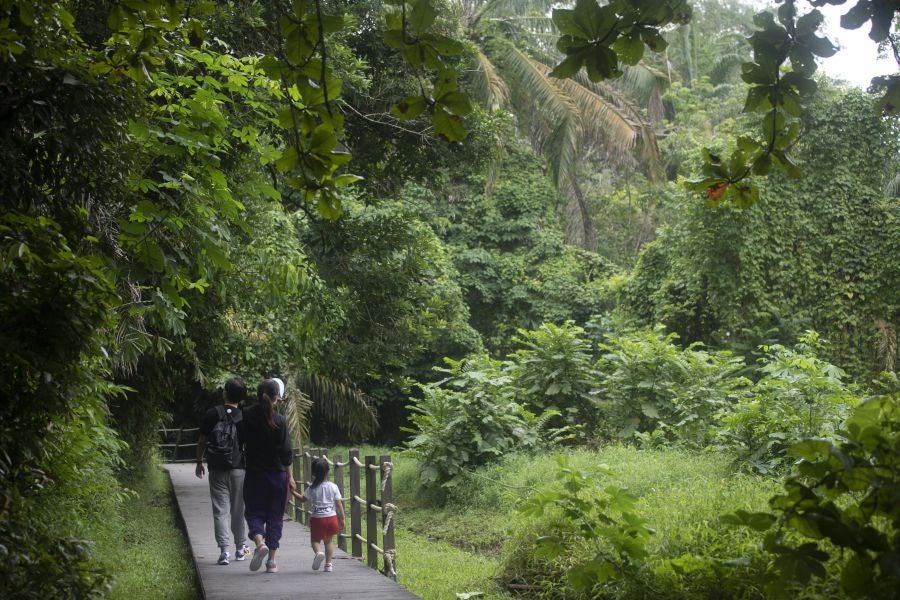 Singapur, la ciudad verde. 