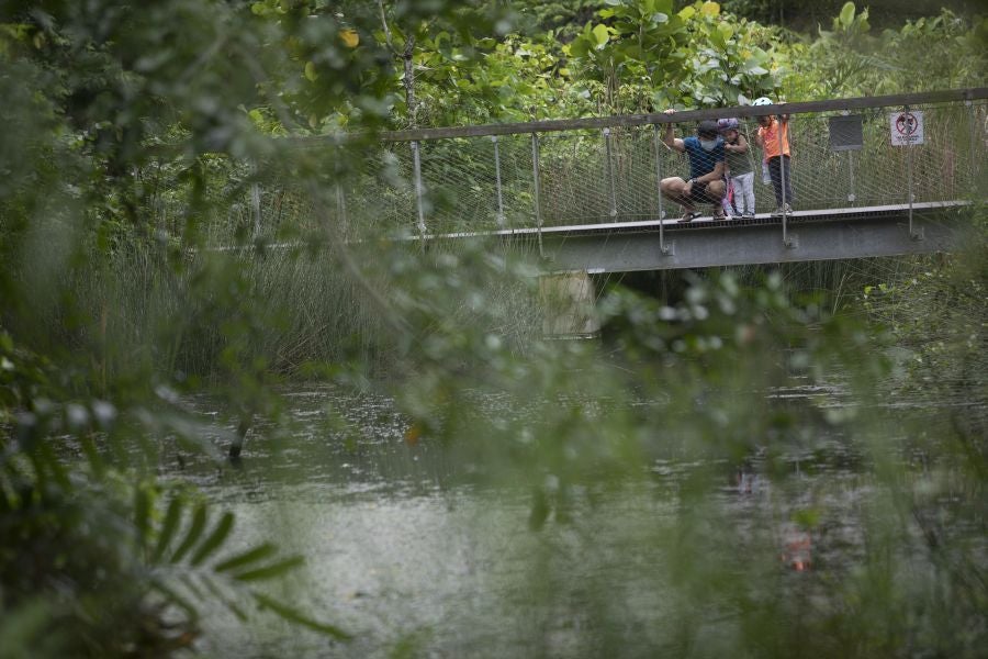 Singapur, la ciudad verde. 