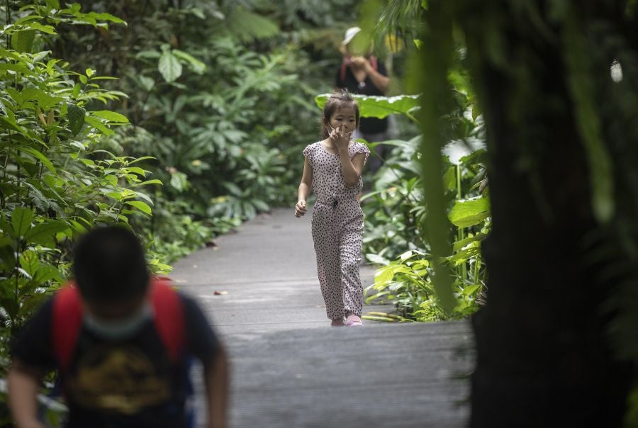 Singapur, la ciudad verde. 