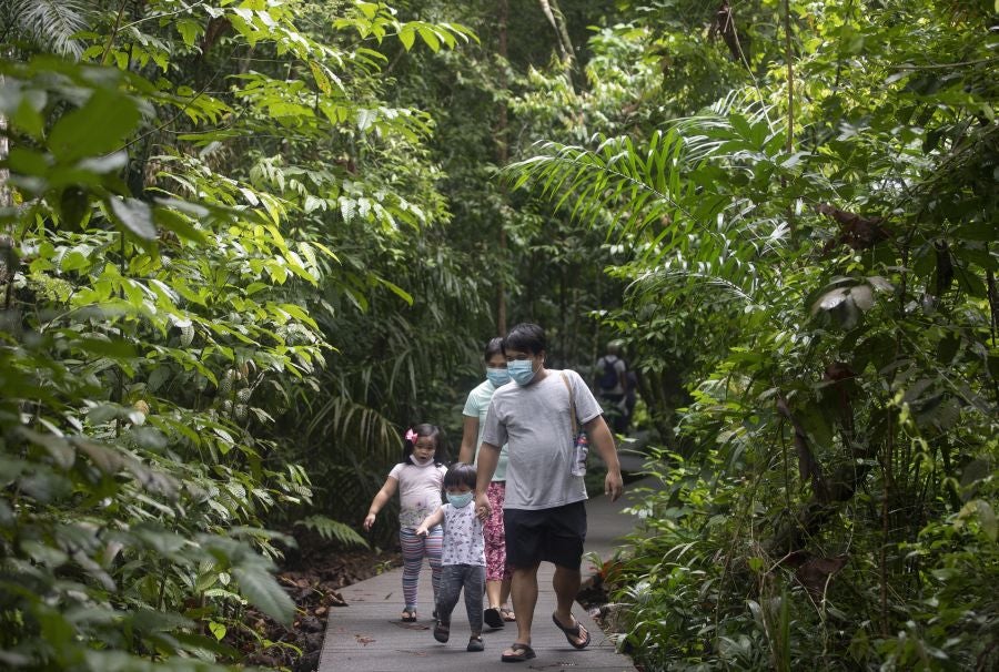 Singapur, la ciudad verde. 
