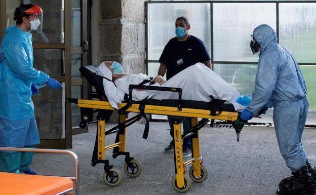 Euskadi registró el lunes 13 nuevos contagios por coronavirus y ningún fallecido por coronavirus