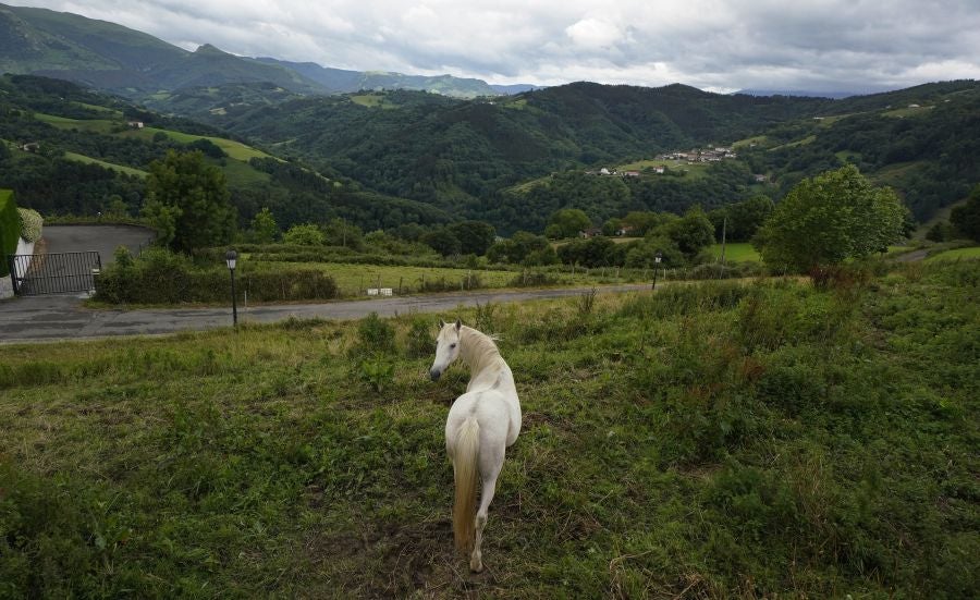 Orendain y Baliarrain, entre prados y bosques.