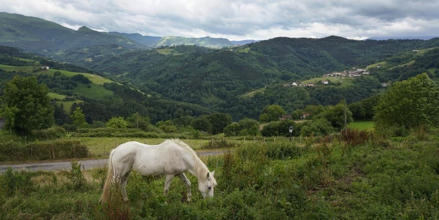 Orendain y Baliarrain, entre prados y bosques.