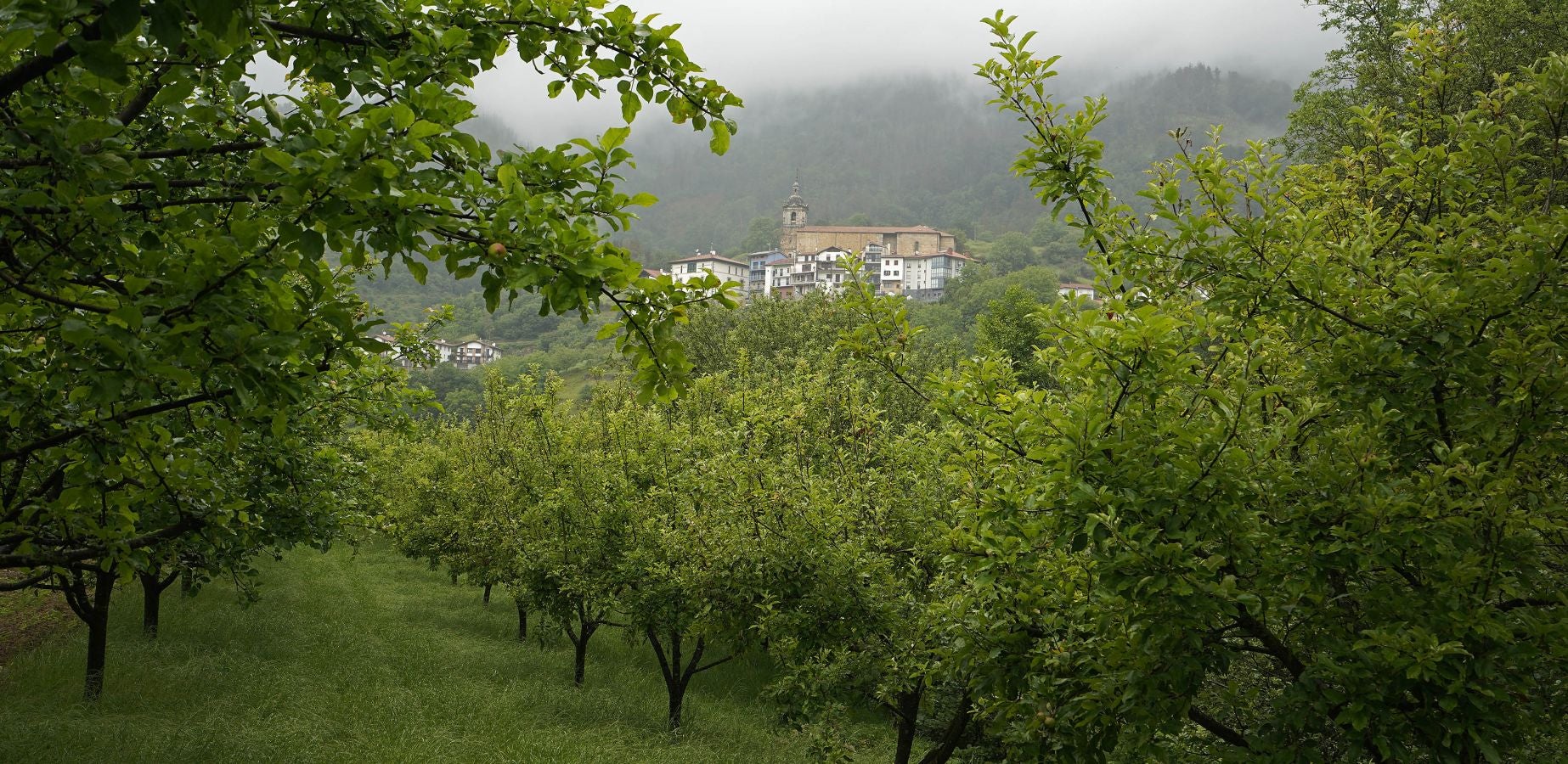 En el corazón del Urola Medio y de Gipuzkoa, rodeadas de espectaculares cimas, ambas localidades invitan a disfrutar de la naturaleza con calma.