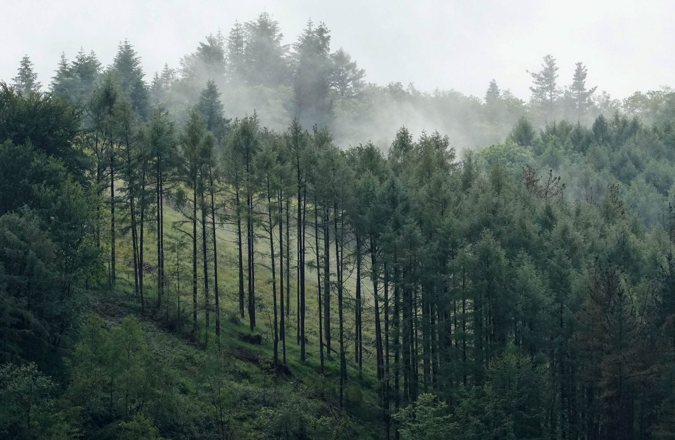 En el corazón del Urola Medio y de Gipuzkoa, rodeadas de espectaculares cimas, ambas localidades invitan a disfrutar de la naturaleza con calma.