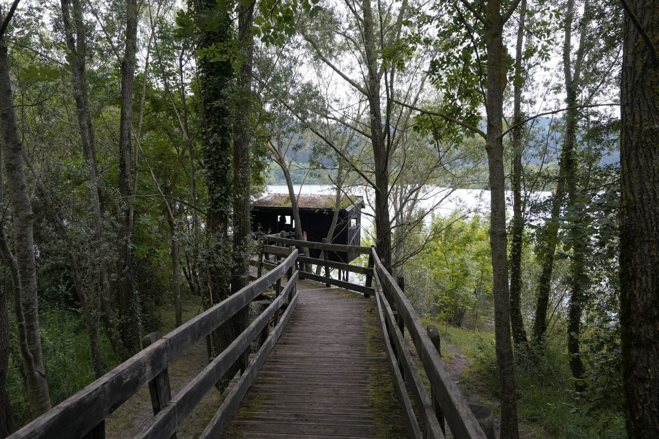 Situada en el valle de Léniz, entre parajes de gran belleza, atesora un rico patrimonio artístico con sus anteiglesias, palacios e imponentes casas torre