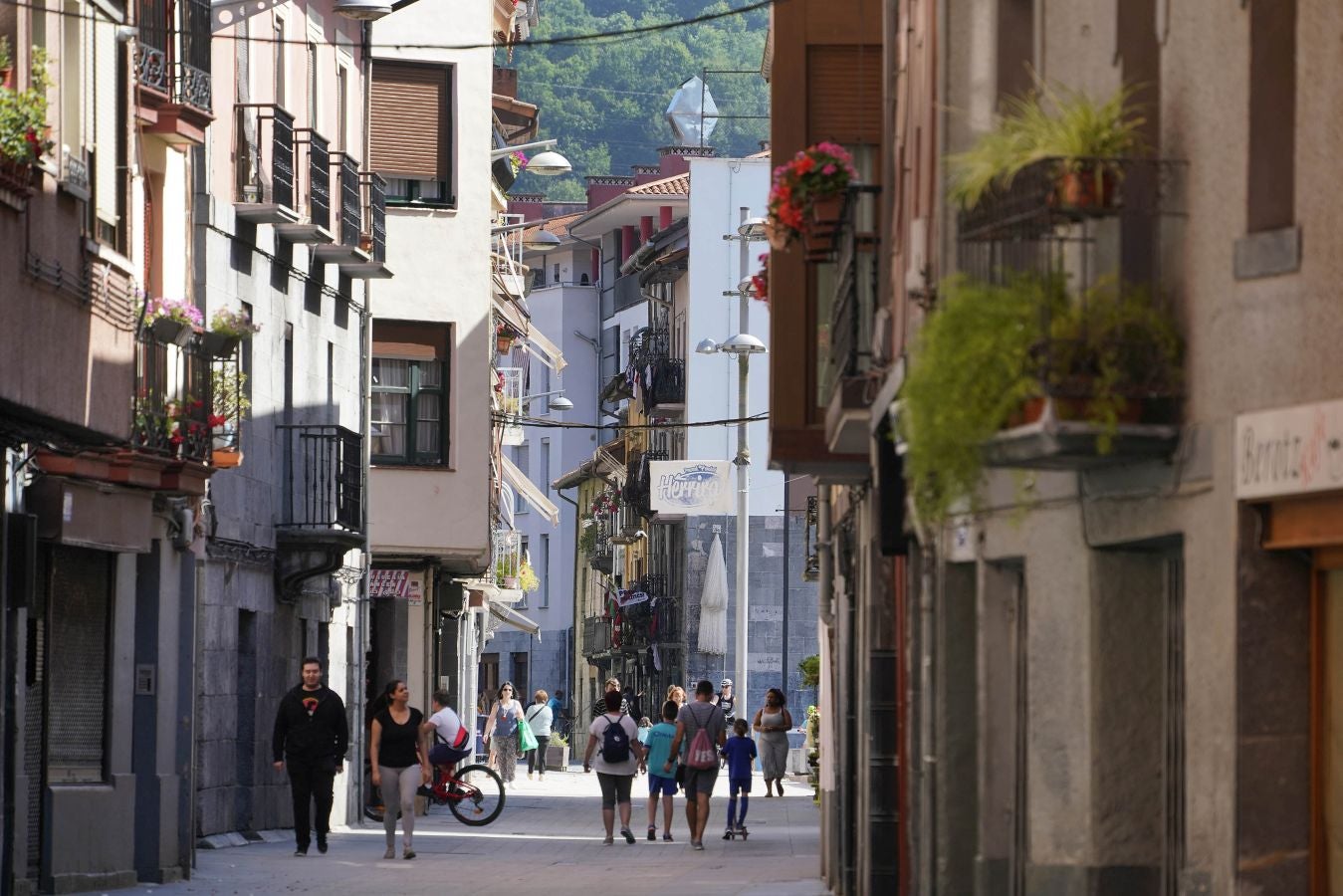 Ubicada en el valle del Oria, combina a la perfección el carácter industrial de Villabona con la identidad rural del pequeño núcleo de Amasa