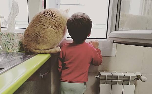 Niño y gato se asoman por una ventana durante el periodo del confinamiento en una imagen tomada por una zarauztarra.