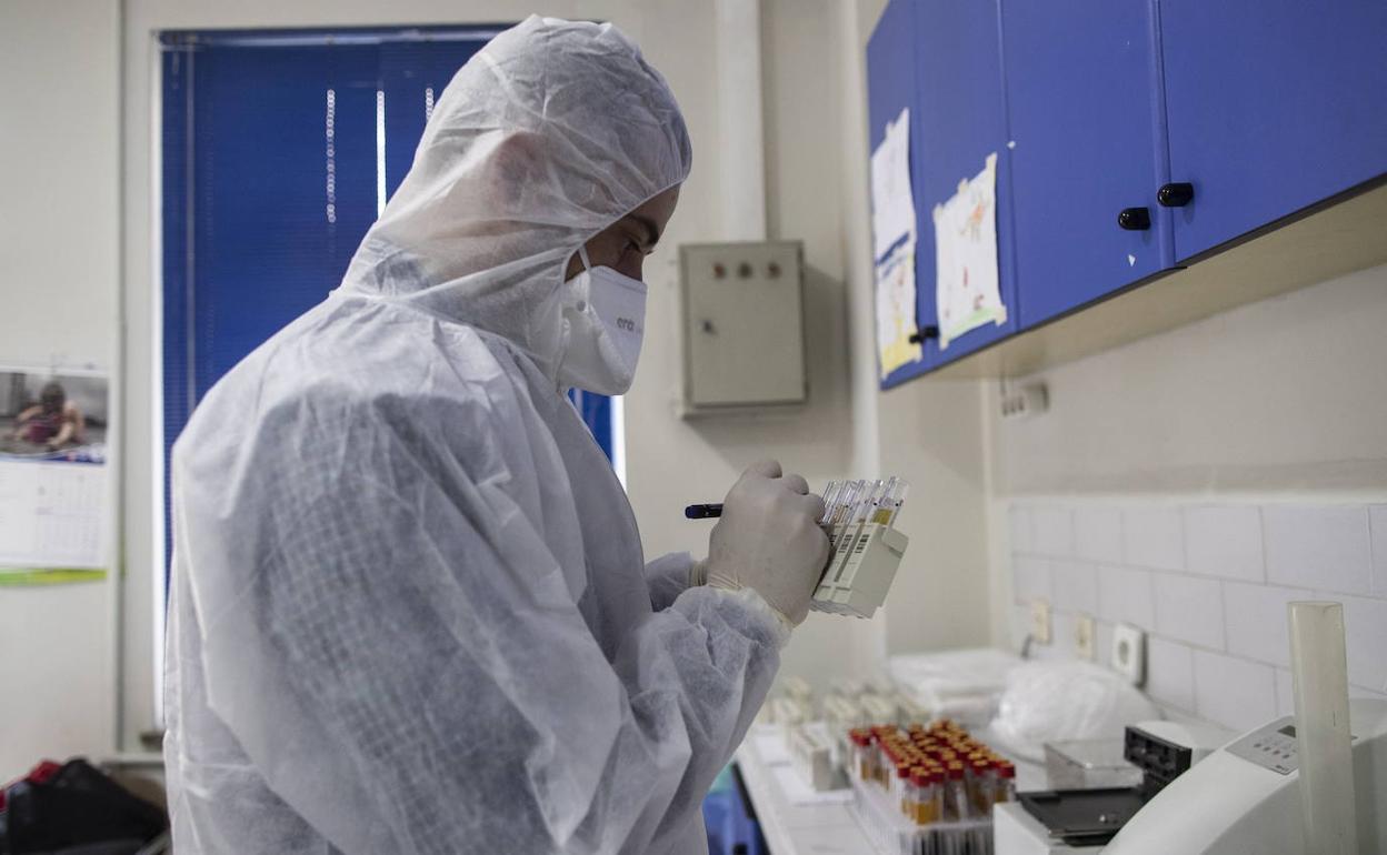 Tres nuevos positivos relacionados con el brote de coronavirus de Sunbilla