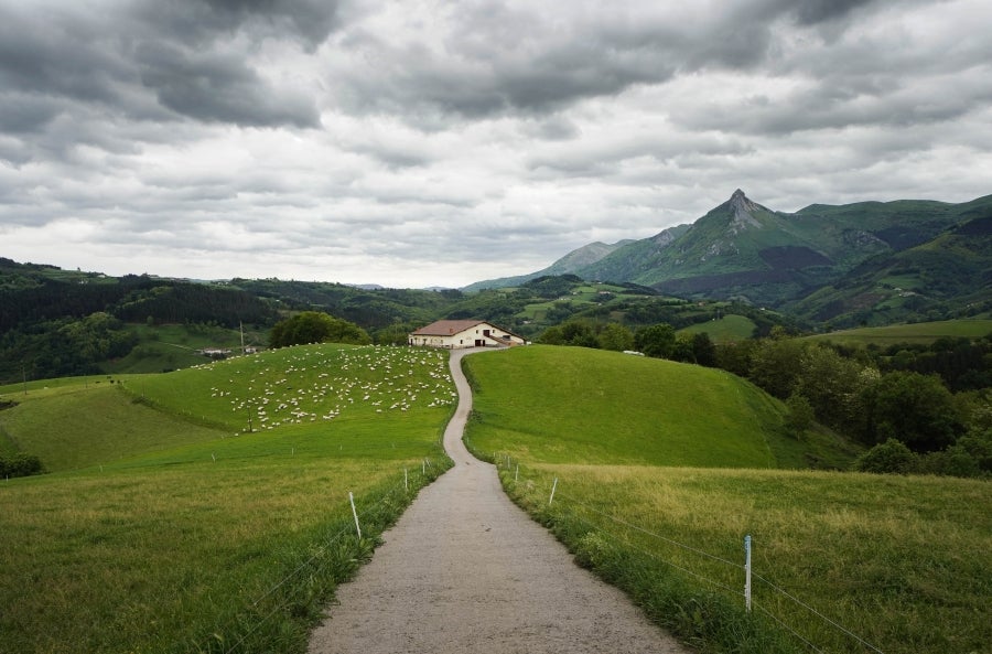 Ambas localidades ofrecen grandes vistas, como la de este caserío de Zaldibia. 