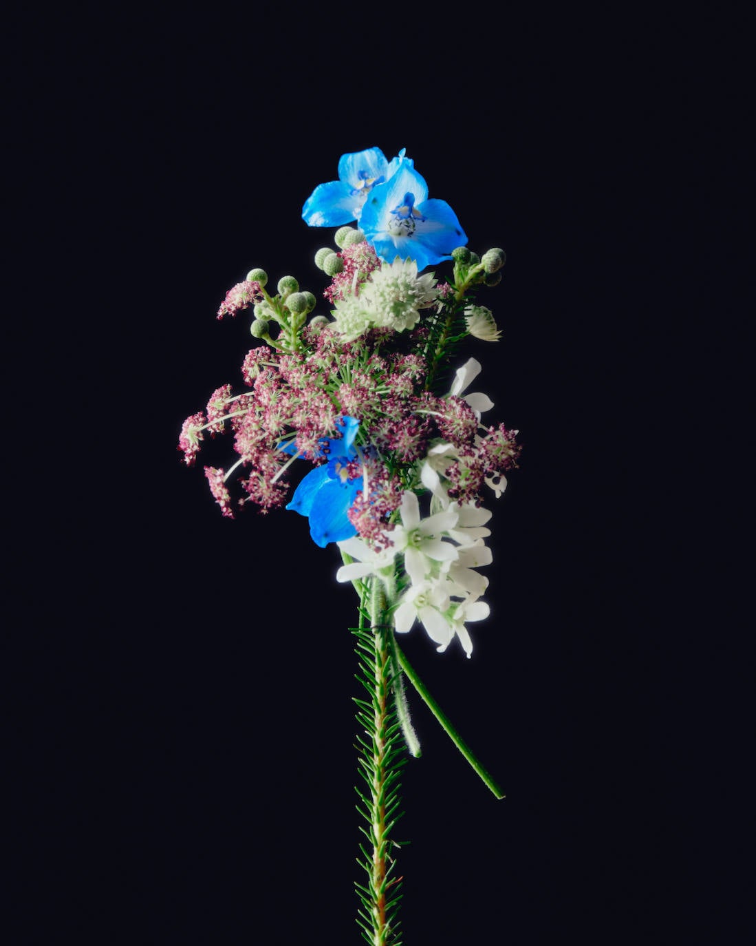 Palomo Spain rinde homenaje al esplendor de la Haute Couture en los años 1950 y 1960 y a sus grandes casas parisinas en una vuelta a los orígenes y a la manufactura de calidad y local. La colección SS21 The Rehearsal se ha confeccionado con una filosofía upcycling, a partir de materiales de archivo con un equipo de taller muy reducido y en tiempo récord debido al contexto actual