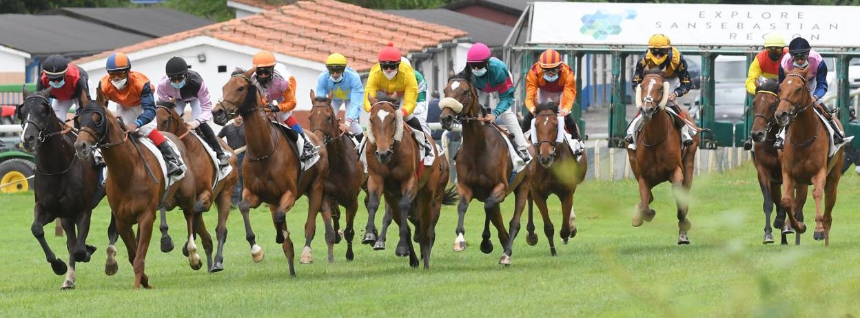 Los doce participantes de uno de los grandes premios disputados hasta ahora en verano en el hipódromo donostiarra emprenden el galope tras salir de los cajones de salida. 