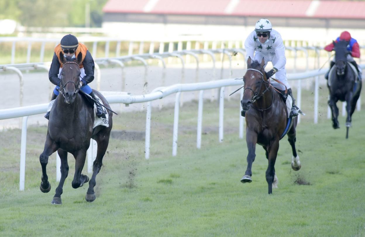 'Doctor Oscar', con la monta de José Luis Martínez, se impone por los palos a 'Tazones'. 