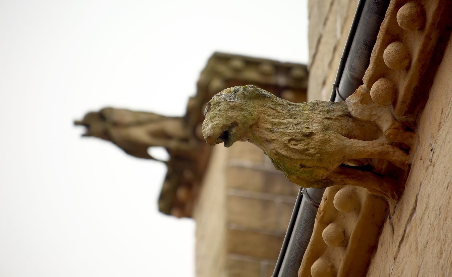 La localidad más pequeña de la comarca, ubicada entre el mar y la montaña, presume de un casco histórico de gran valor artístico y arquitectónico muy bien conservado. 