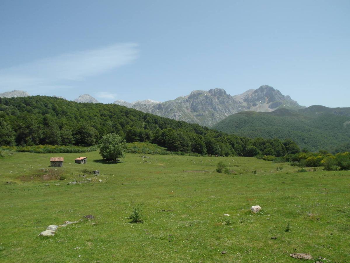 Majada de Vegabaño: La majada de Vegabaño es uno de los lugares que no te puedes perder si te acercas a Soto de Sajambre. Podrás llegar a ella a través de una ruta de unos 3 kilómetros que parte desde la zona alta de Soto de Sajambre, todo por un camino sin dificultad paralelo al río Aguera. Una vez en la majada, además de unas bonitas vistas del entorno, tendremos la posibilidad de seguir con nuestra ruta por numerosas alternativas como: la ascensión al Pico Jario, a la Cotorra del Escobaño o al Cabronero. Todas ellas nos adentrarán en el corazón del Macizo Occidental de los Picos de Europa.