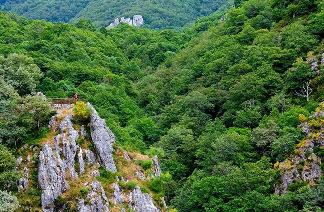 Senda del Arcediano: La Senda del Arcediano une la comarca de Cangas de Onís con la de Riaño. La calzada romana que la recorre fue primero un trazado utilizado para someter a cántabros y astures por los romanos, más tarde se convirtió en camino de comunicación entre las dos vertientes del puerto, sirvió para la invasión musulmana y la posterior reconquista. Ya en la Edad Media se convirtió en una ruta clásica para el paso de viajeros y transporte de mercancías. Hoy en día con la carretera del Pontón por el desfiladero de los Beyos, la primitiva senda ha quedado relegada a un papel pastoril y sobre todo turístico. Por ella tendrás de un recorrido perfecto para disfrutar de la belleza del paisaje que se ha mantenido intacto a lo largo del tiempo.