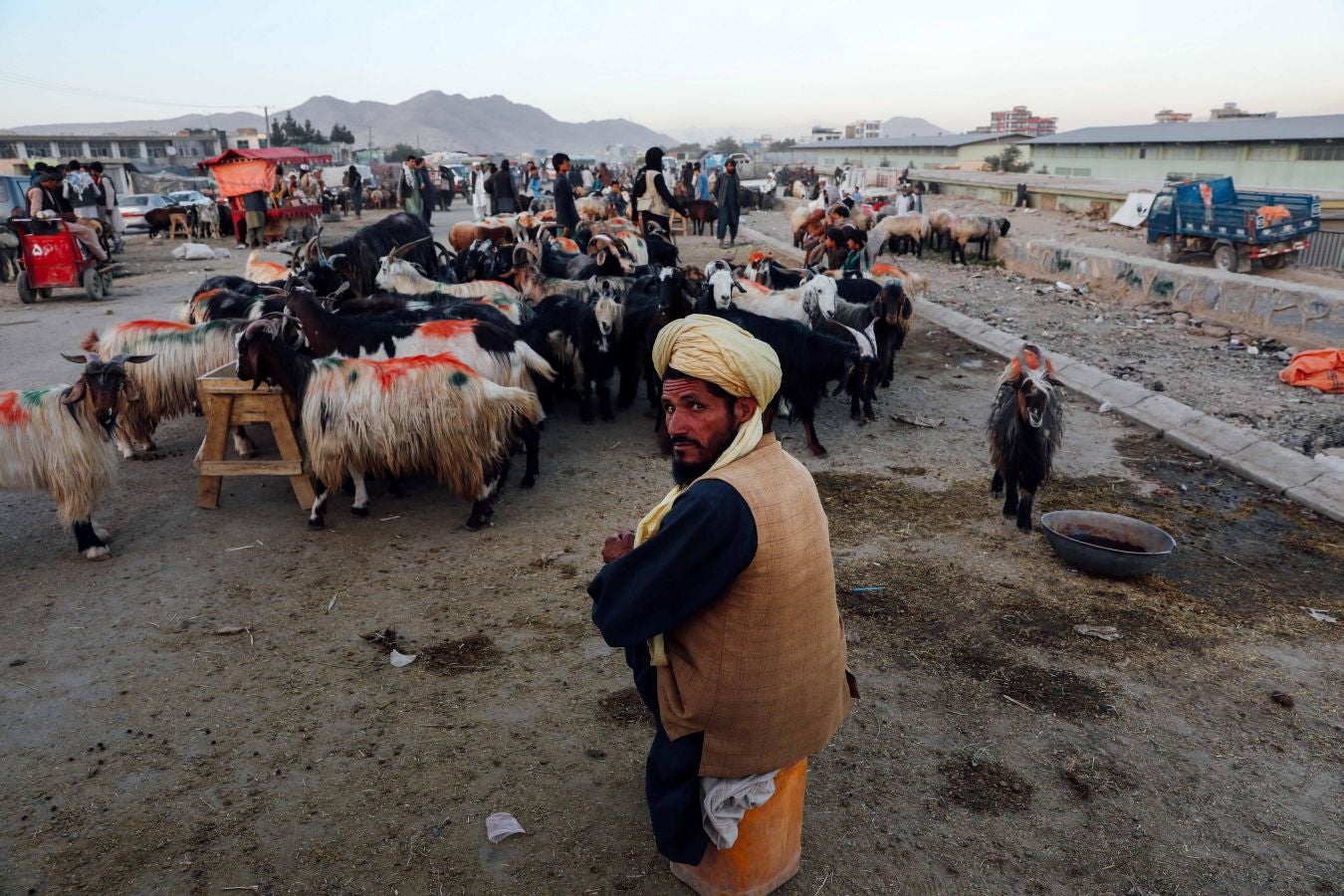 La festividad conocida como Eid al-Adha o Fiesta del Cordero es una de las celebraciones más importantes en el mundo musulmán. No hay una fecha exacta de celebración, pues su realización coincide con el fin del peregrinaje a La Meca (El Hajj). Es una tradición en la cual se aprovecha para orar junto con la familia y posteriormente se sacrifica un cordero. Esto por hacer una referencia a los hechos de las sagradas escrituras del Corán. En el cual se menciona que Dios, ordenó a Abraham a sacrificar a su primogénito como prueba de su fidelidad y, previo a esto, Dios le ofreció un cordero para sacrificarlo. Es una costumbre con bastante arraigo en el mundo árabe. Países como Afganistán, Siria, Kuwait, Líbano, Palestina o Nigeria lo celebran. 
