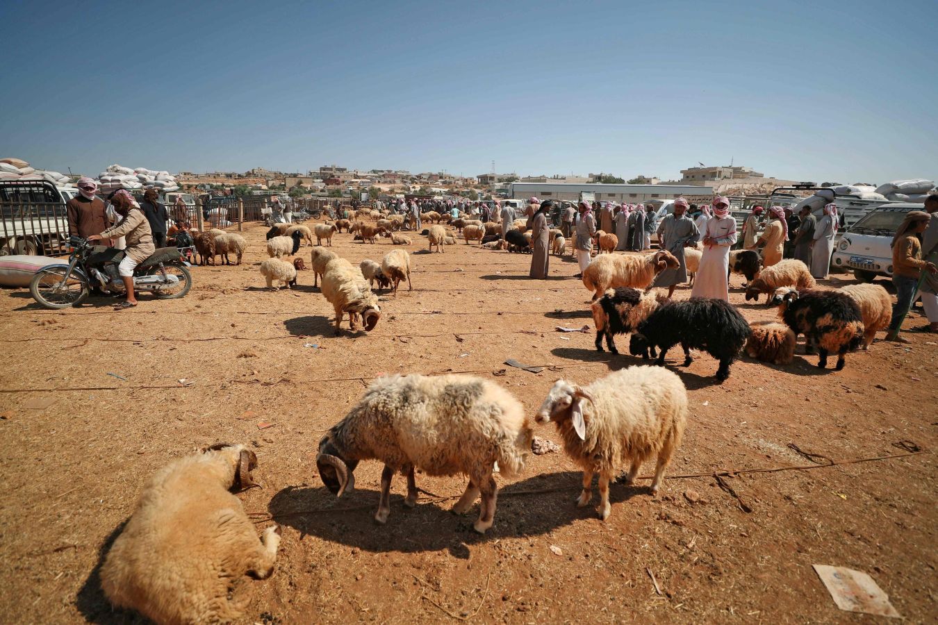 La festividad conocida como Eid al-Adha o Fiesta del Cordero es una de las celebraciones más importantes en el mundo musulmán. No hay una fecha exacta de celebración, pues su realización coincide con el fin del peregrinaje a La Meca (El Hajj). Es una tradición en la cual se aprovecha para orar junto con la familia y posteriormente se sacrifica un cordero. Esto por hacer una referencia a los hechos de las sagradas escrituras del Corán. En el cual se menciona que Dios, ordenó a Abraham a sacrificar a su primogénito como prueba de su fidelidad y, previo a esto, Dios le ofreció un cordero para sacrificarlo. Es una costumbre con bastante arraigo en el mundo árabe. Países como Afganistán, Siria, Kuwait, Líbano, Palestina o Nigeria lo celebran. 
