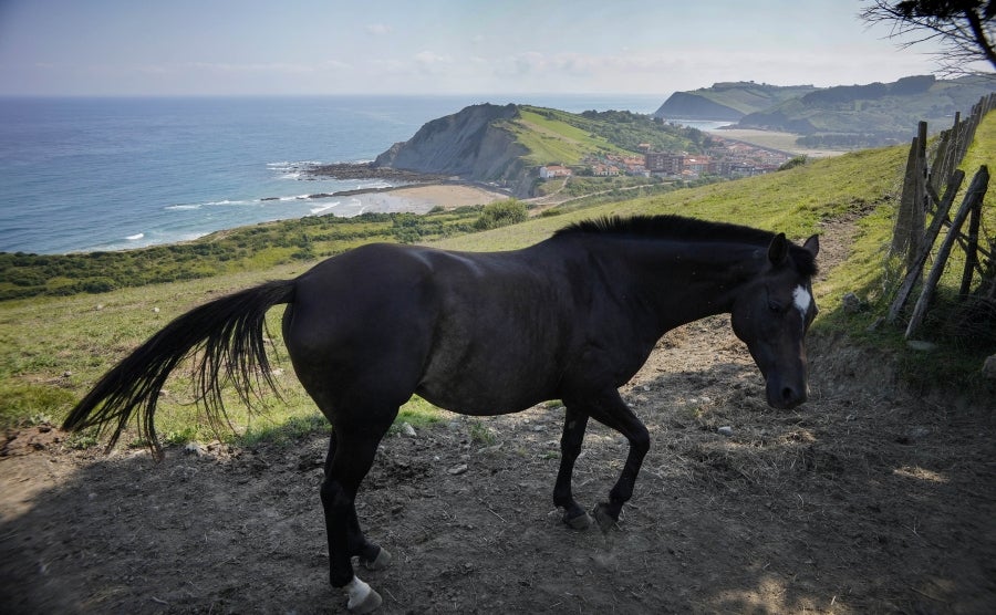 Enclavada en uno de los tramos más impresionantes de la costa, en una bellísima bahía, invita a perderse por las calles de su casco histórico y a disfrutar de sus hermosas playas. 