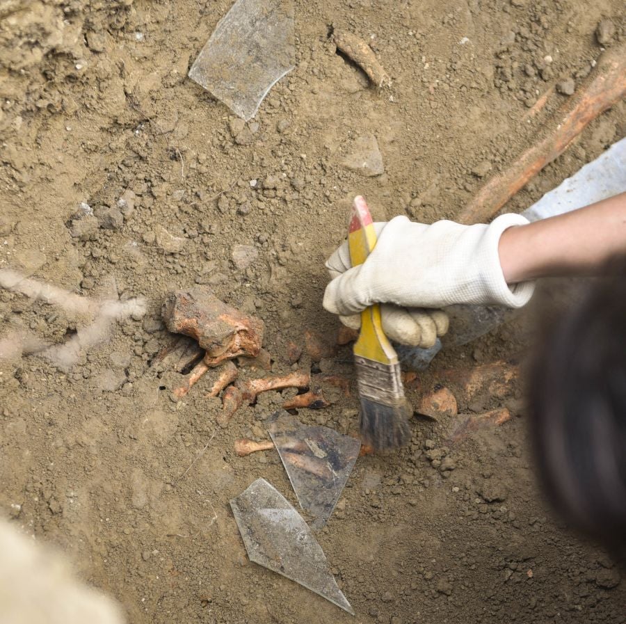 Aranzadi busca los restos del gigante de Altzo. 