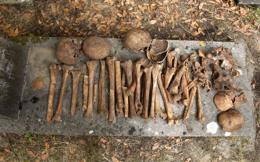 Aranzadi busca los restos del gigante de Altzo. 