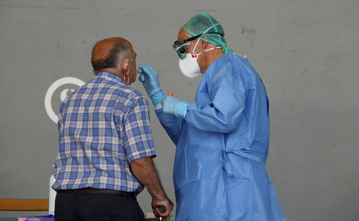 Coronavirus: Euskadi suma 364 nuevos positivos, 80 en Gipuzkoa