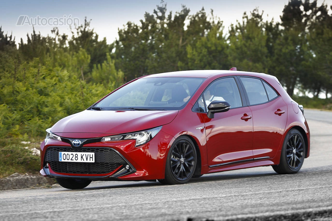 Fotos: Fotogalería: Toyota Corolla 1.8H