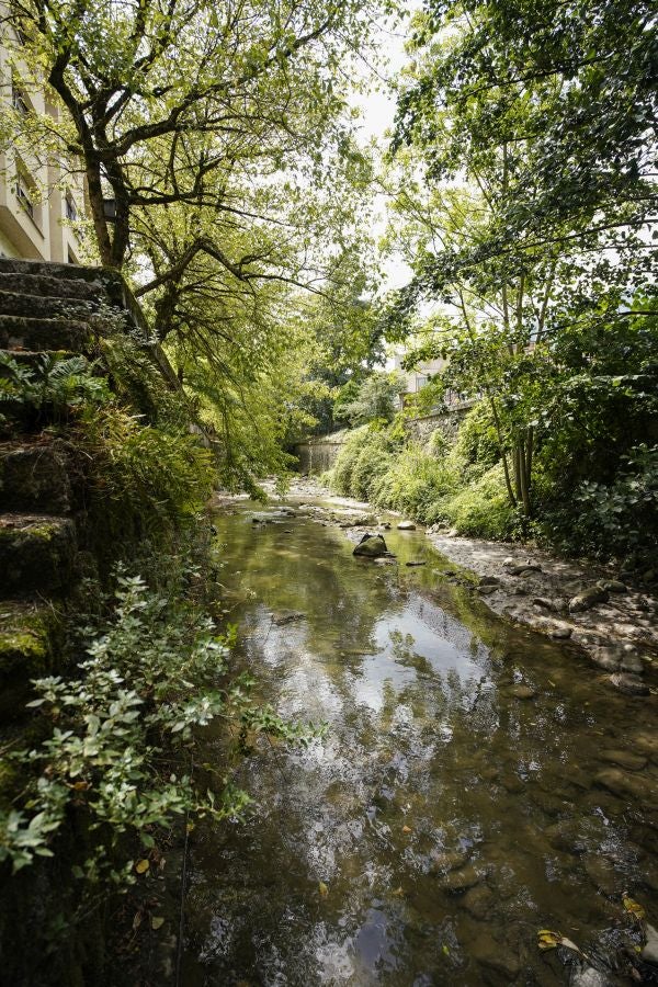 Un paseo por Zegama. 